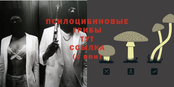 PSILOCYBIN Алексин