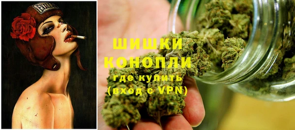 трава Гатчина