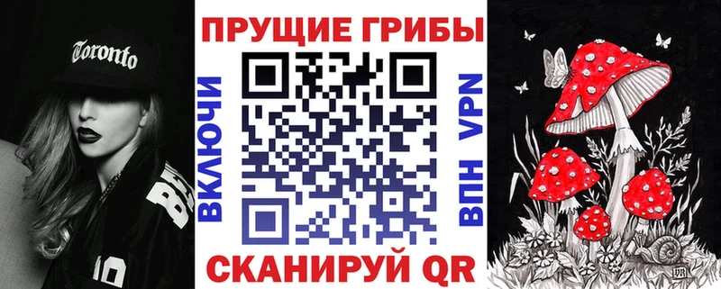 ОМГ ОМГ как зайти  Закаменск  Галлюциногенные грибы прущие грибы  купить закладку 